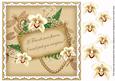 Cream Orchids If Friends Were. 8in Vintage Decoupage Topper