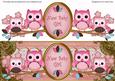 Pink Owls New Baby Girl Large Dl Decoupage Topper
