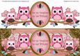 Pink Owls Daughter Birthday Large Dl Decoupage Topper