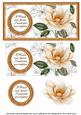 Peach Magnolia If Friends Were Dl Decoupage Topper