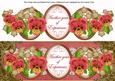 Dred Pansy Year of Experience Large Dl Topper