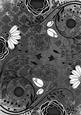Black Lace Retro Floral A4 Backing Paper