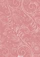 Pink Floral Lace Lights A4 Backing Paper