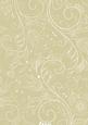 Cream Floral Lace Lights A4 Backing Paper