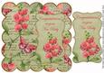 Olive Sweetpeas New Baby 8in Scallop Topper