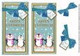 Teal Penguin Duo Merry Christmas Dl Topdown Topper