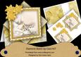 Ice Church Gold Poinsettia Diamond Mini Card Kit