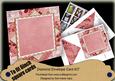 Pink Oriental Fern 6inch Diamond Envelope Mini Kit