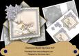 Ice Church Silver Poinsettia Diamond Card Mini Kit