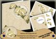 Cream Rose 8in Aperture Decoupage Cf Mini Kit