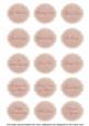 Pinklem Hibiscus Matching All Occasion Sentiment Label Sheet