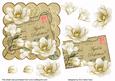 Cream Magnolia Aged to Perfection 6in Step by Step