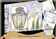 Agapanthus Perfume 7x5inch Aperture Card Mini Kit