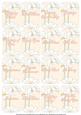 Daisies Matching Floral Perfume Mixed Sentiment Cards