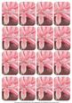 Water Lily Matching Floral Perfume Mixed Sentiment Cards