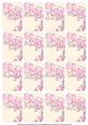 Bleeding Heart Matching Floral Perfume Mixed Sentiment Cards