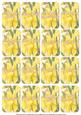 Happy Daffs Matching Floral Perfume Mixed Sentiment Cards