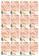 Peach Rose Matching Floral Perfume Mixed Sentiment Cards