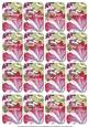 Petunia Mix Matching Floral Perfume Mixed Sentiment Cards