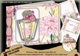 Carnations Perfume 7x5inch Aperture Card Mini Kit