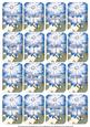 Blue Daisies Matching Floral Perfume Mixed Sentiment Cards