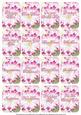 Pink Daisy Matching Floral Perfume Mixed Sentiment Cards