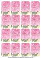 Camilla Pink Matching Floral Perfume Mixed Sentiment Cards
