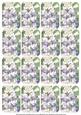Blue Lupin Matching Floral Perfume Mixed Sentiment Cards