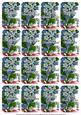 Blue Fmknots Matching Floral Perfume Mixed Sentiment Cards