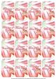 Lily Matching Floral Perfume Mixed Sentiment Cards