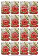 Red Hibiscous Matching Floral Perfume Mixed Sentiment Cards