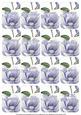Blue Magnolia Matching Floral Perfume Mixed Sentiment Cards