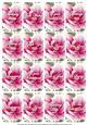 Cerise Magnolia Matching Floral Perfume Mix Sentiment Cards
