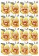 Lemons Magnolia Matching Floral Perfume Mix Sentiment Cards