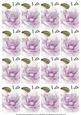 Lilac Magnolia Matching Floral Perfume Mix Sentiment Cards