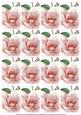 Pink Magnolia Matching Floral Perfume Mix Sentiment Cards