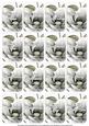 Silver Magnolia Matching Floral Perfume Mix Sentiment Cards