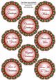 Red Robin Lace Doily Christmas Sentiment Sheet