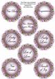 Lilac Bouquet Doily New Baby Mix Sentiment Sheet