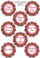 Hot Pink Fmk Dotty Doily Birthday Mix Sentiment Sheet