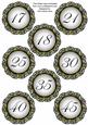 Black Fmk Dotty Doily Numbers 17 to 45 Topper Sheet