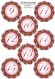 Hot Pink Fmk Dotty Doily Numbers 9 to 16 Topper Sheet
