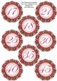 Hot Pink Fmk Dotty Doily Numbers 17 to 45 Topper Sheet