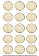 Cream Fleur All Birthday Sentiment Caption Sentiment Sheet