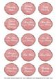 Pink Fleur All Birthday Sentiment Caption Sentiment Sheet