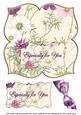 Cosmos Especially 8in Large Blooms Fancy Topper