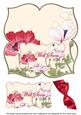 Anemone1 Get Well Soon 8in Large Blooms Fancy Topper