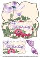 Anemone2 Get Well Soon 8in Large Blooms Fancy Topper