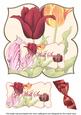 Tulips Get Well Soon 8in Large Blooms Fancy Topper