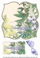 Lupin Birthday Wishes 8in Large Blooms Fancy Topper